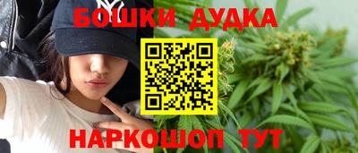 индика Партизанск