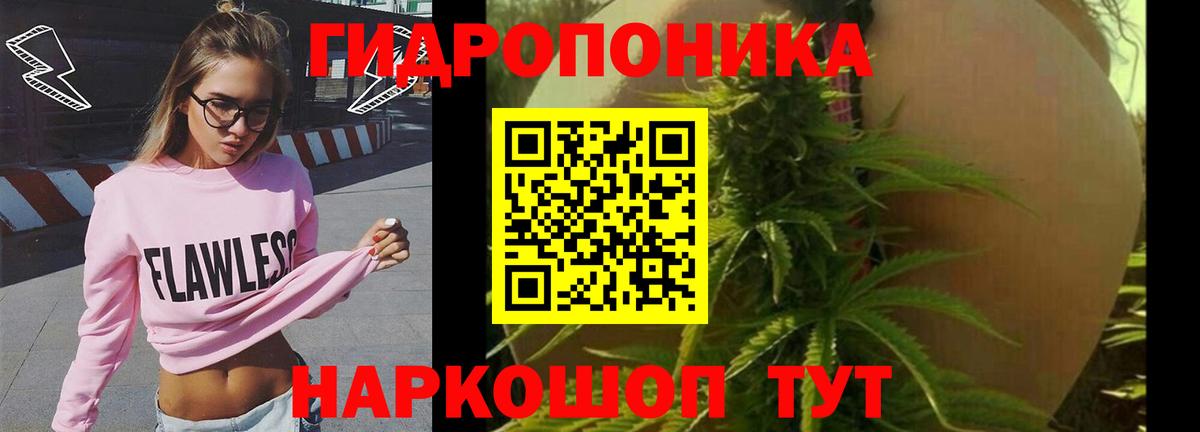 Бошки Шишки конопля Тобольск